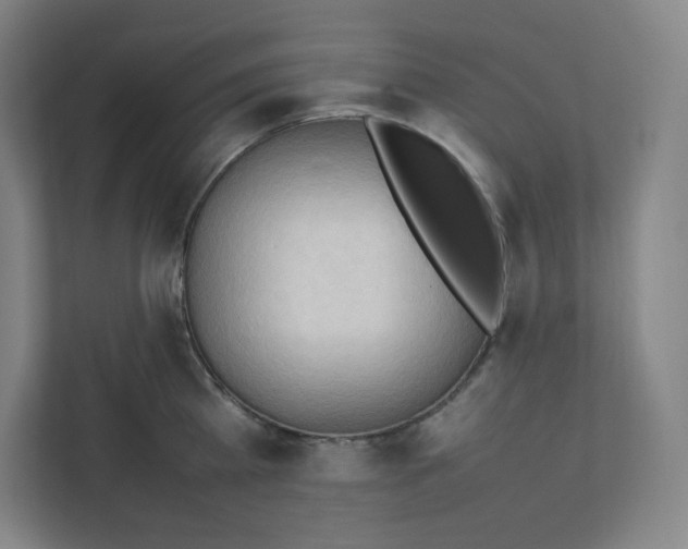 X0000111950809200908171316