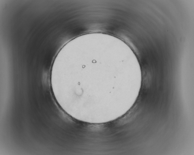 X0000111950810200908171316