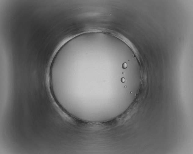 X0000111950811200908171316