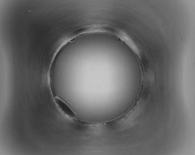 X0000111950813200908171316