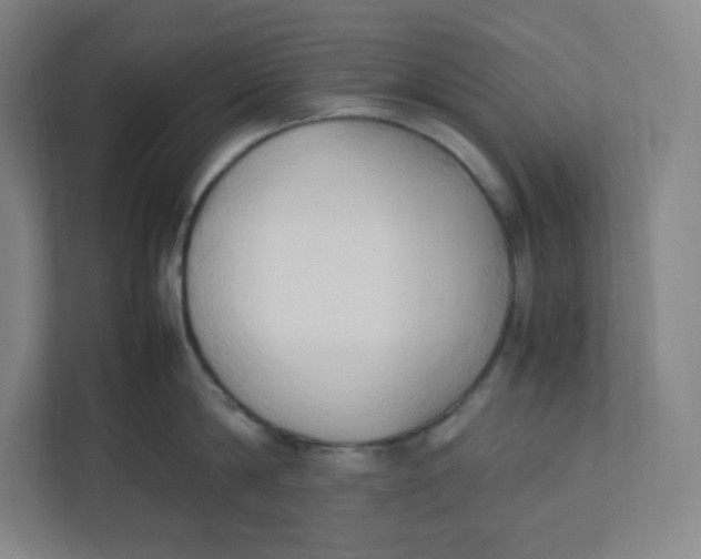 X0000111950814200908171316