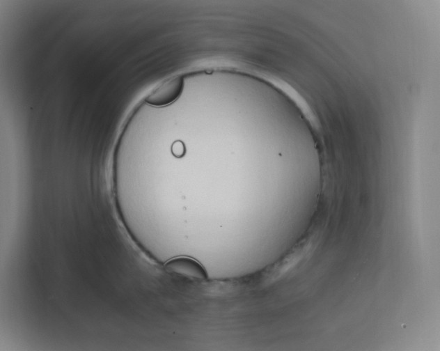 X0000111950815200908171316