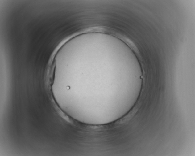 X0000111950816200908171316