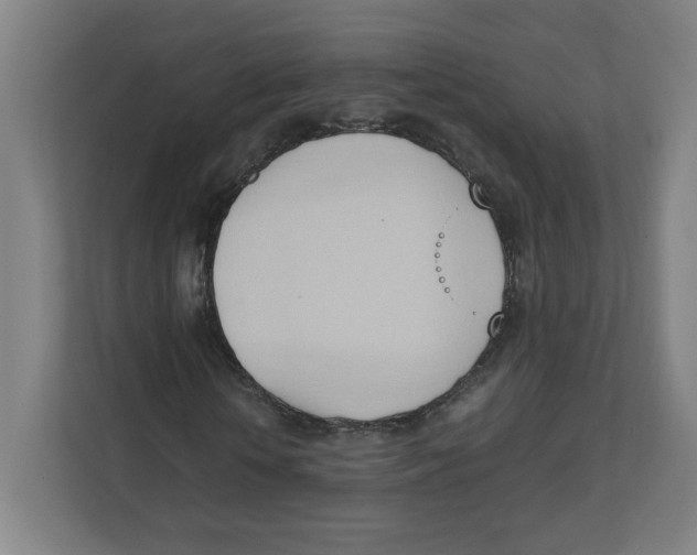 X0000111950818200908171316