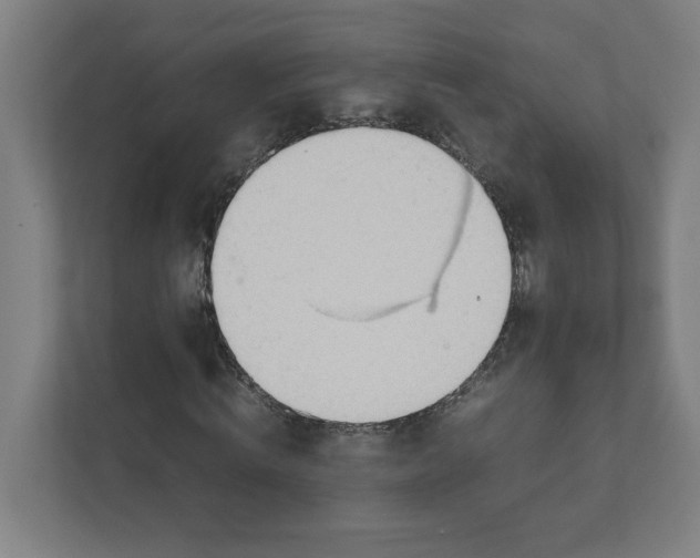 X0000111950820200908171316