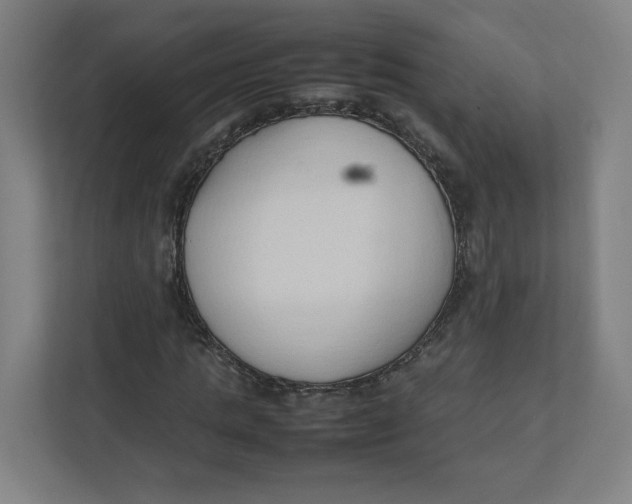 X0000111950821200908171316