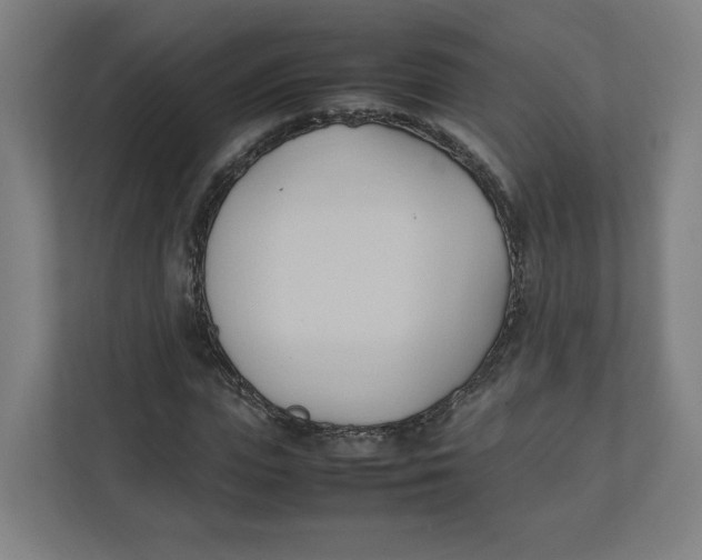 X0000111950823200908171316