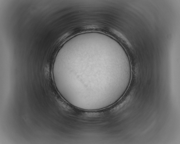 X0000111950825200908171316