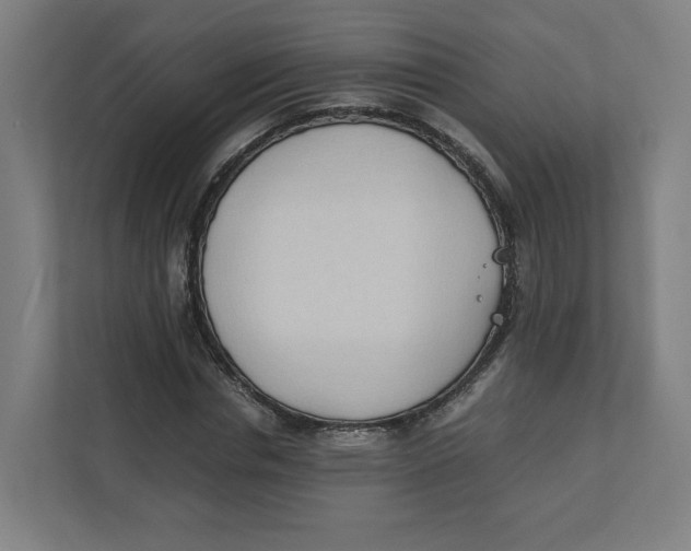 X0000111950826200908171316