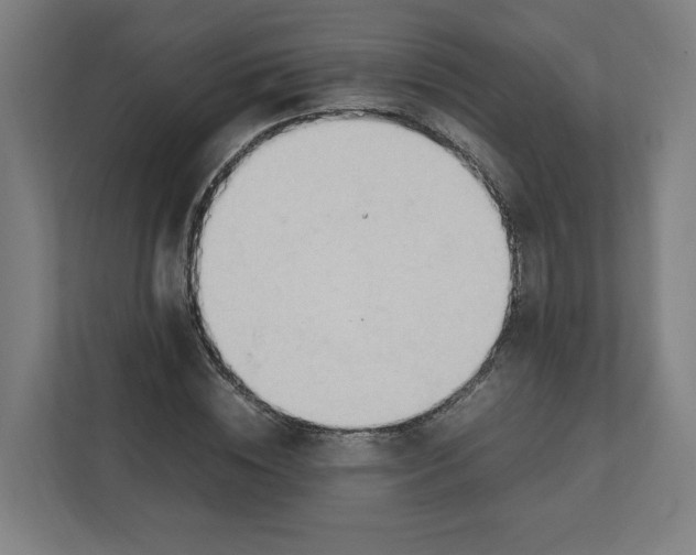 X0000111950828200908171316