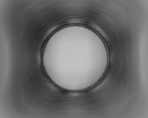 X0000111950829200908171316