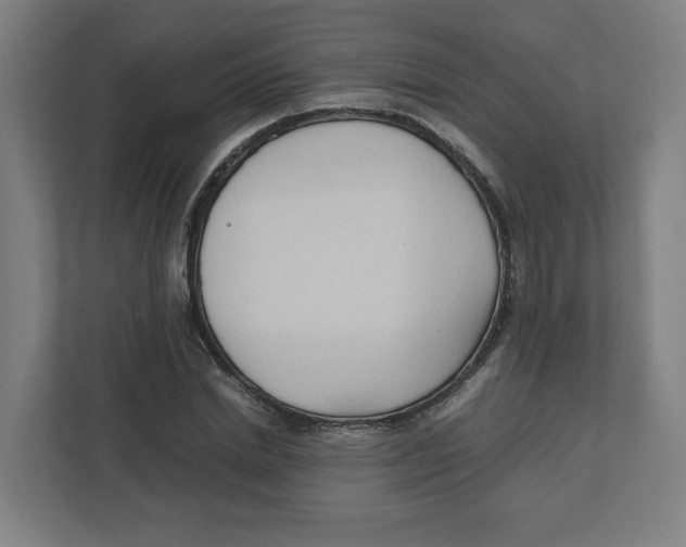 X0000111950830200908171316