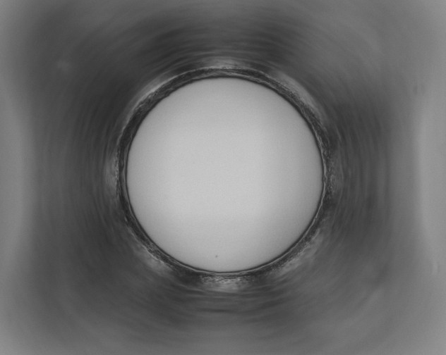 X0000111950831200908171316