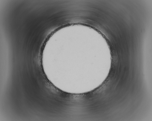 X0000111950832200908171316