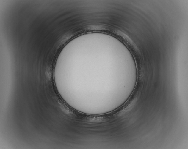 X0000111950833200908171316