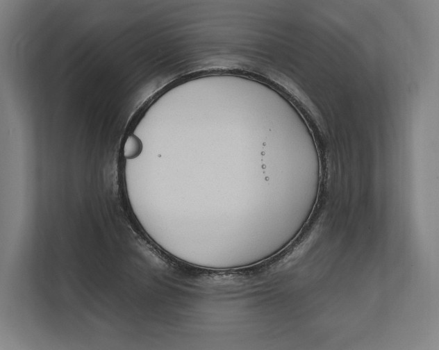 X0000111950834200908171316