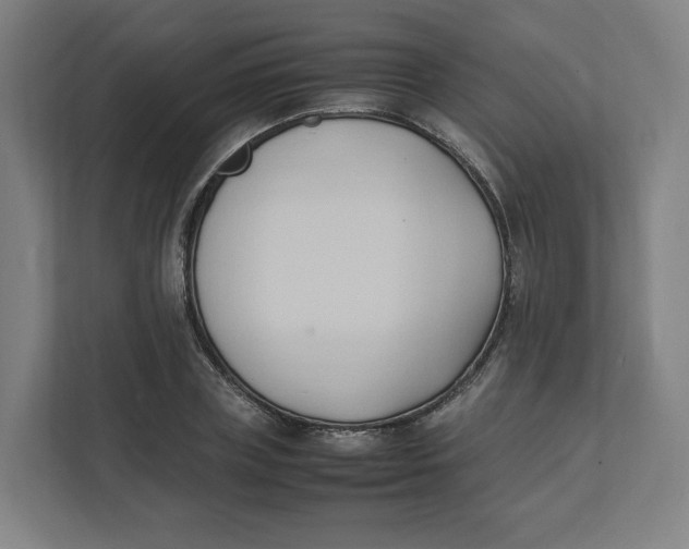 X0000111950835200908171316