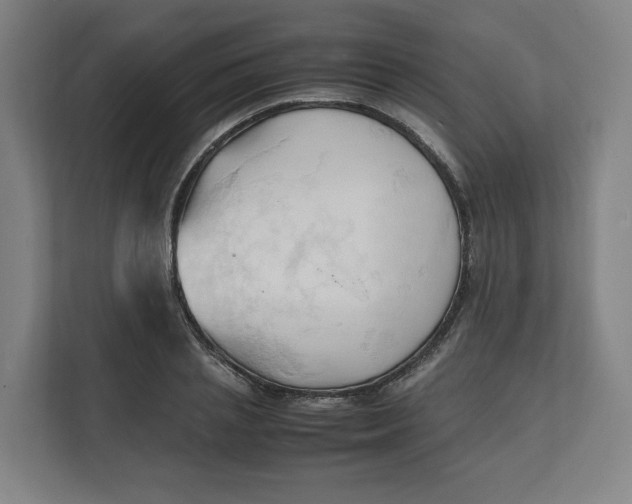 X0000111950837200908171316