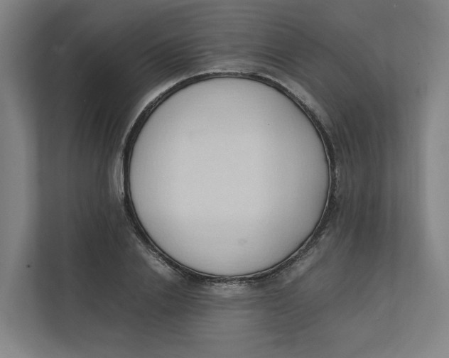 X0000111950838200908171316