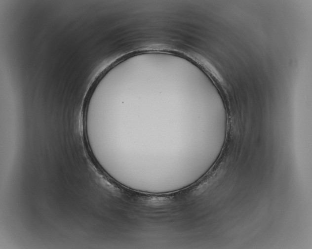 X0000111950839200908171316