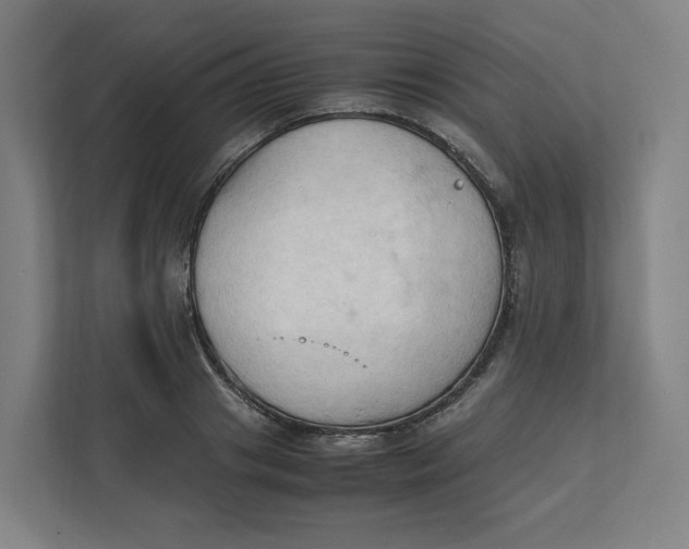 X0000111950841200908171316