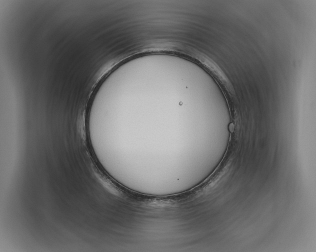 X0000111950842200908171316