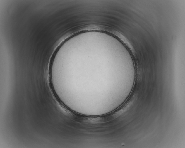 X0000111950845200908171316