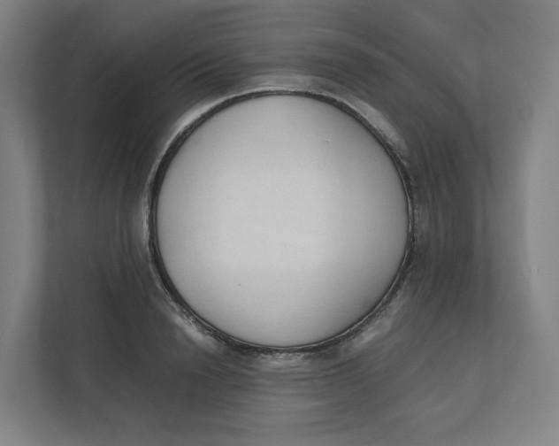 X0000111950846200908171316