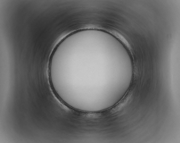 X0000111950847200908171316