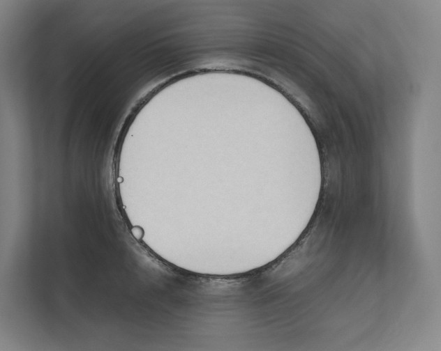 X0000111950848200908171316