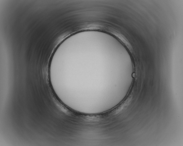 X0000111950850200908171316