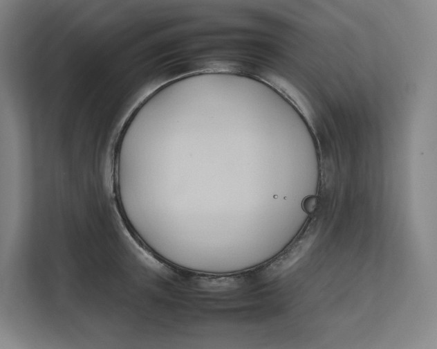 X0000111950851200908171316