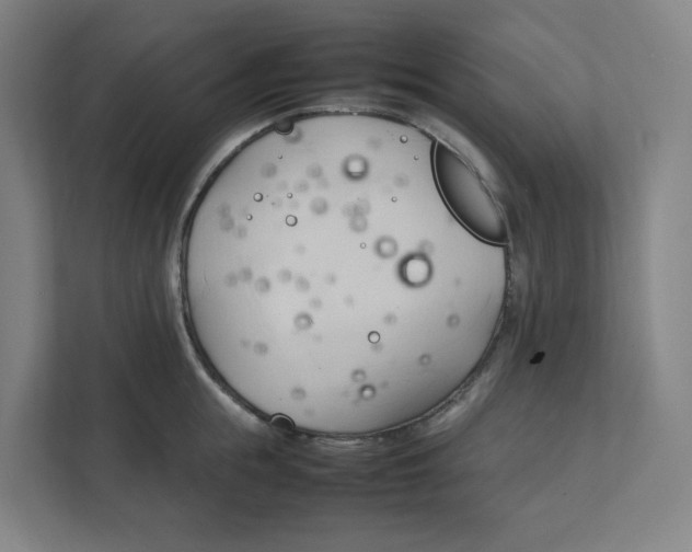 X0000111950855200908171316