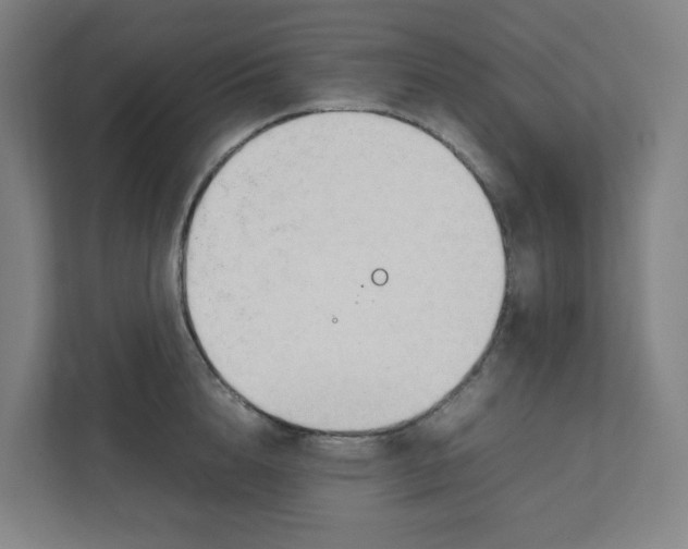 X0000111950856200908171316