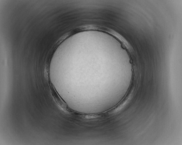 X0000111950857200908171316