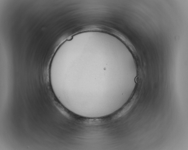 X0000111950858200908171316