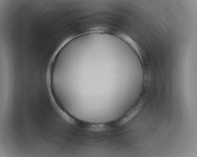 X0000111950859200908171316