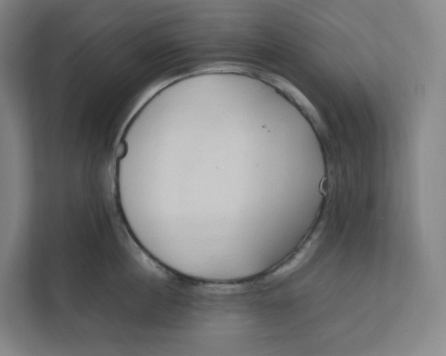 X0000111950860200908171316