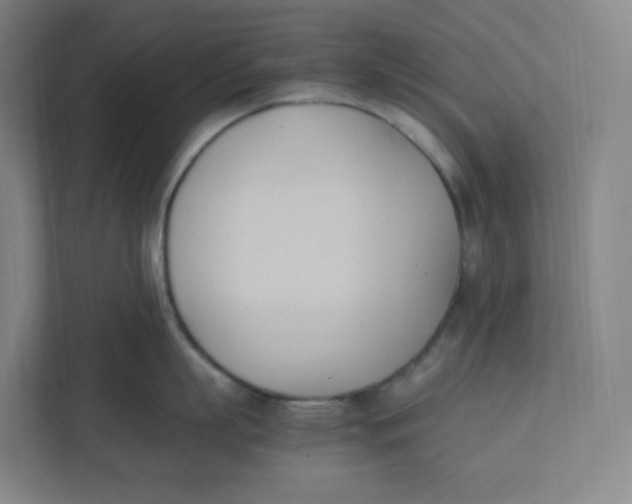 X0000111950863200908171316