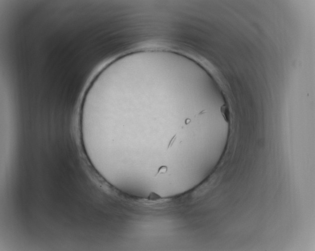 X0000111950864200908171316