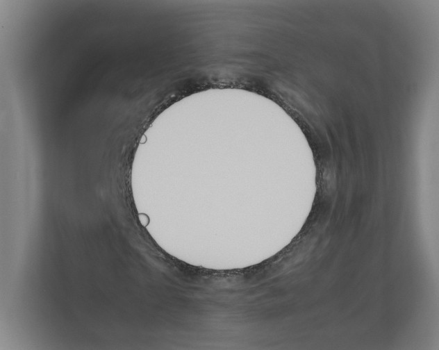 X0000111950865200908171316