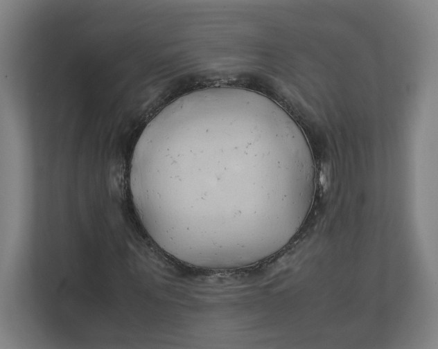 X0000111950867200908171316