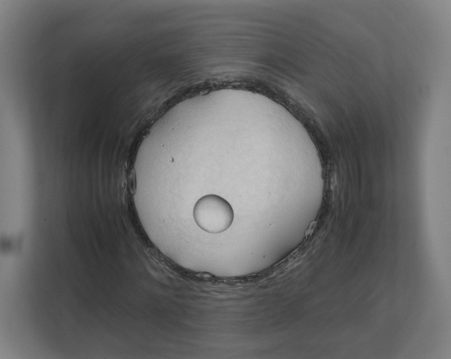 X0000111950868200908171316