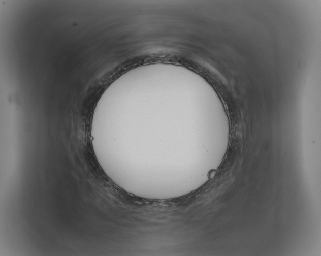 X0000111950869200908171315