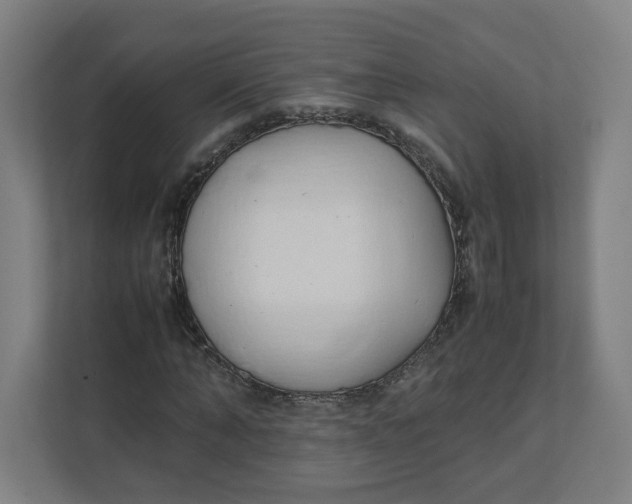 X0000111950870200908171315