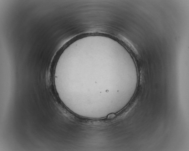 X0000111950876200908171315