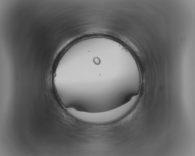 X0000111950877200908171315