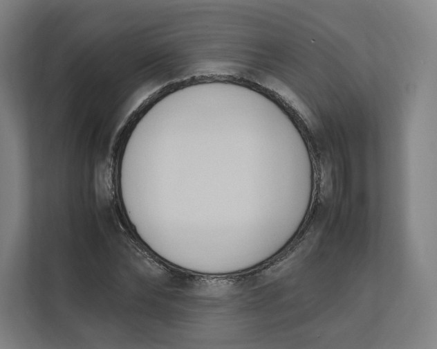 X0000111950878200908171315