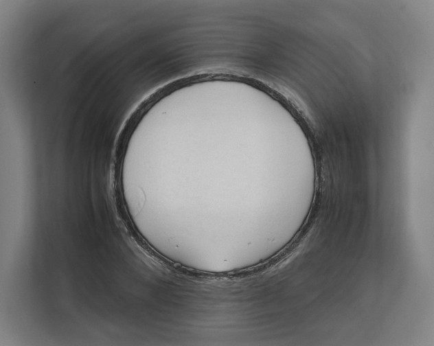 X0000111950880200908171315