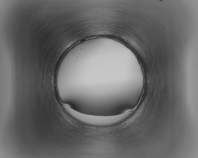 X0000111950881200908171315